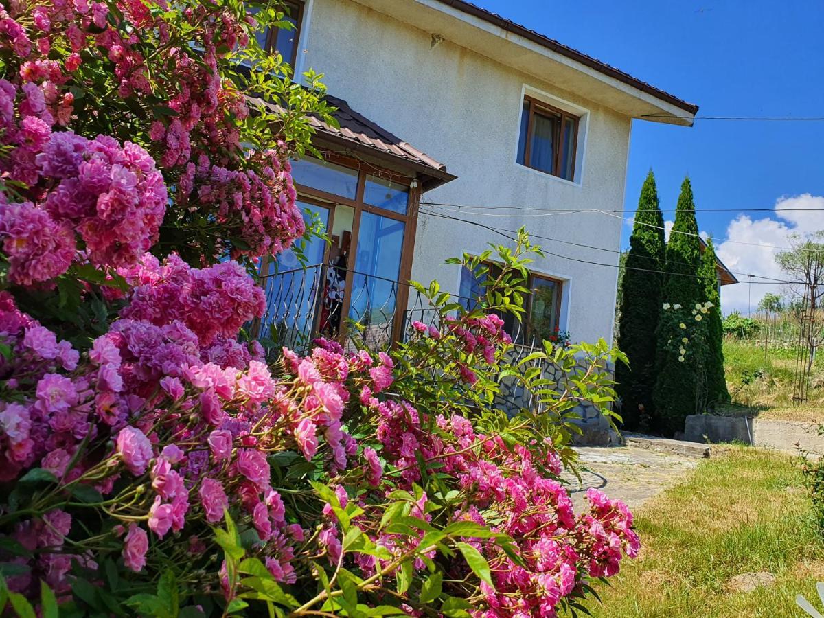Апартаменты Casa Carpati Зэрнешти Экстерьер фото